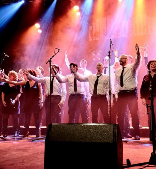 Concert Field Hollers